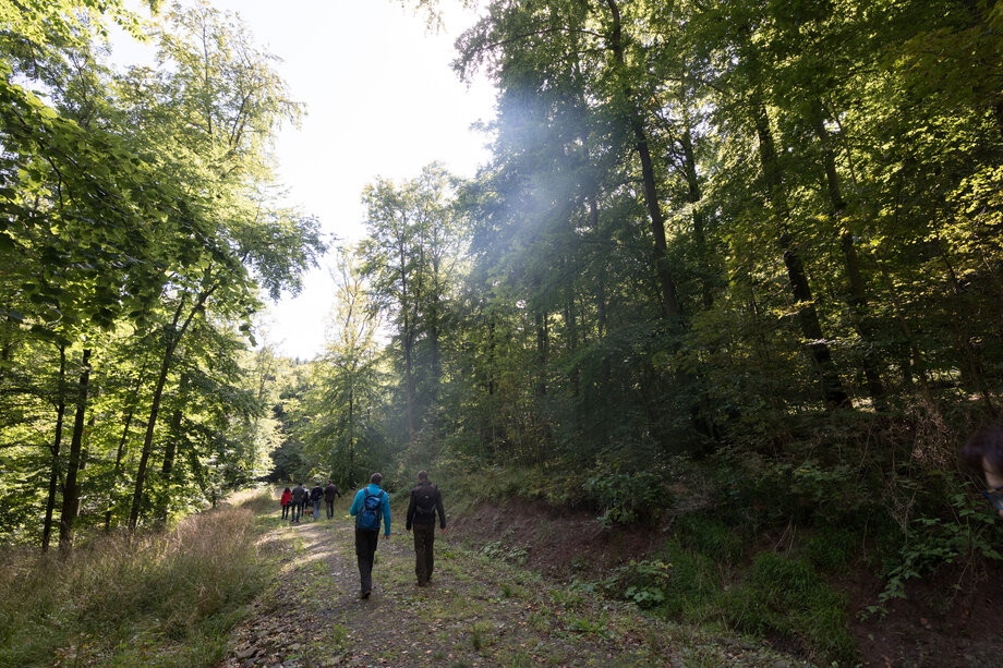 Wanderinnen und Wanderer im Wald