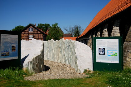 Eiszeitgarten Salder (14)