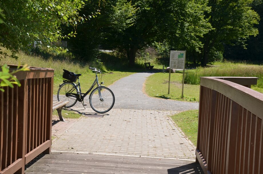 Symbolbild_Fahrrad_HD