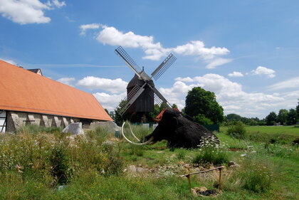 Eiszeitgarten Salder (40)